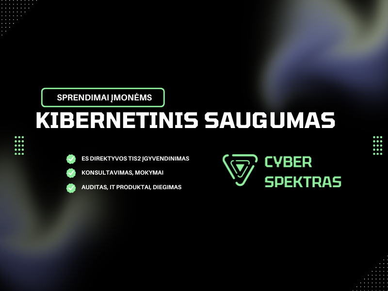 kibernetinis saugumas verslui